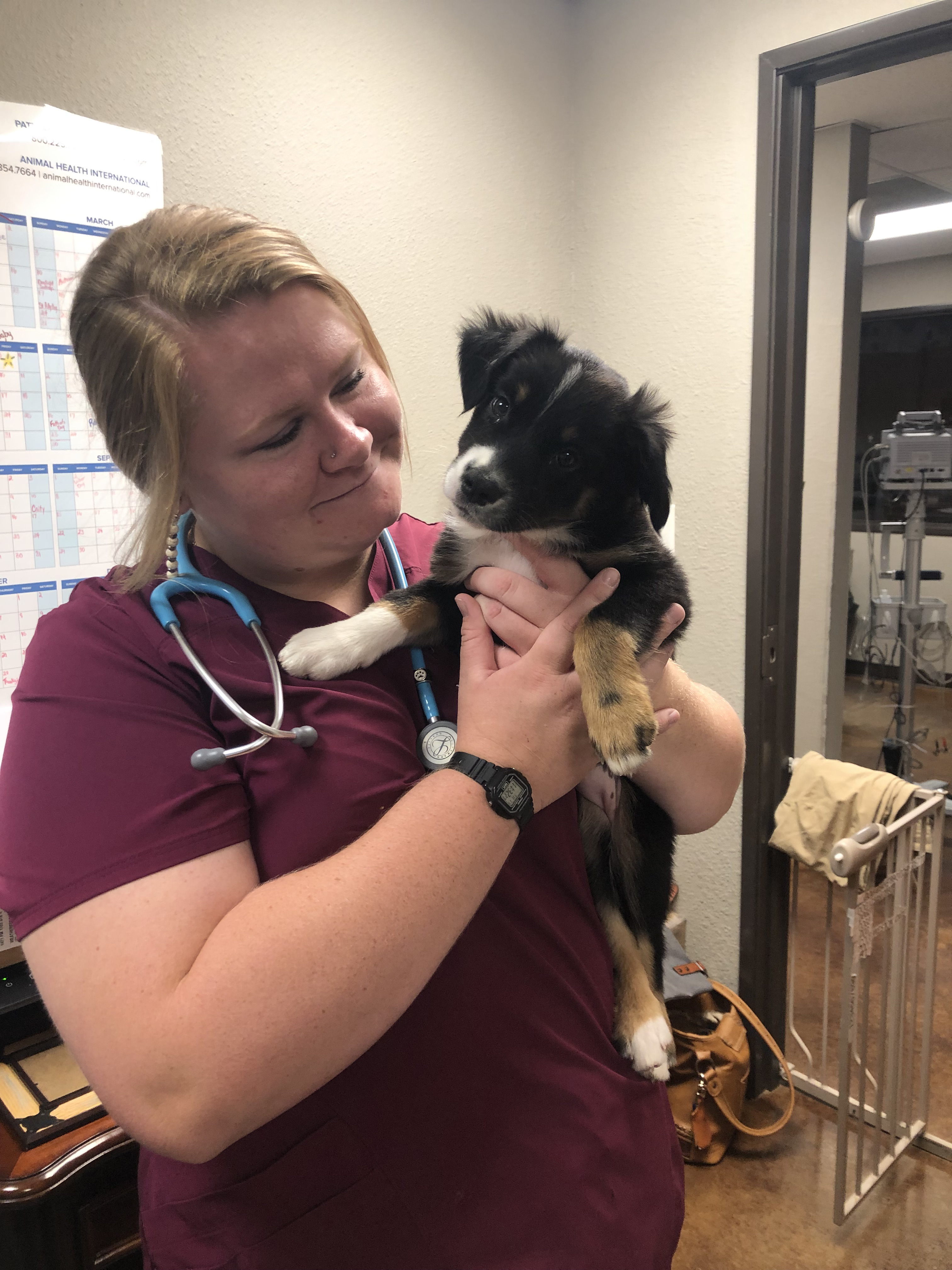 Riverstone Veterinary Hospital – Weatherford, TX Riverstone Veterinary Hospital – Weatherford, TX