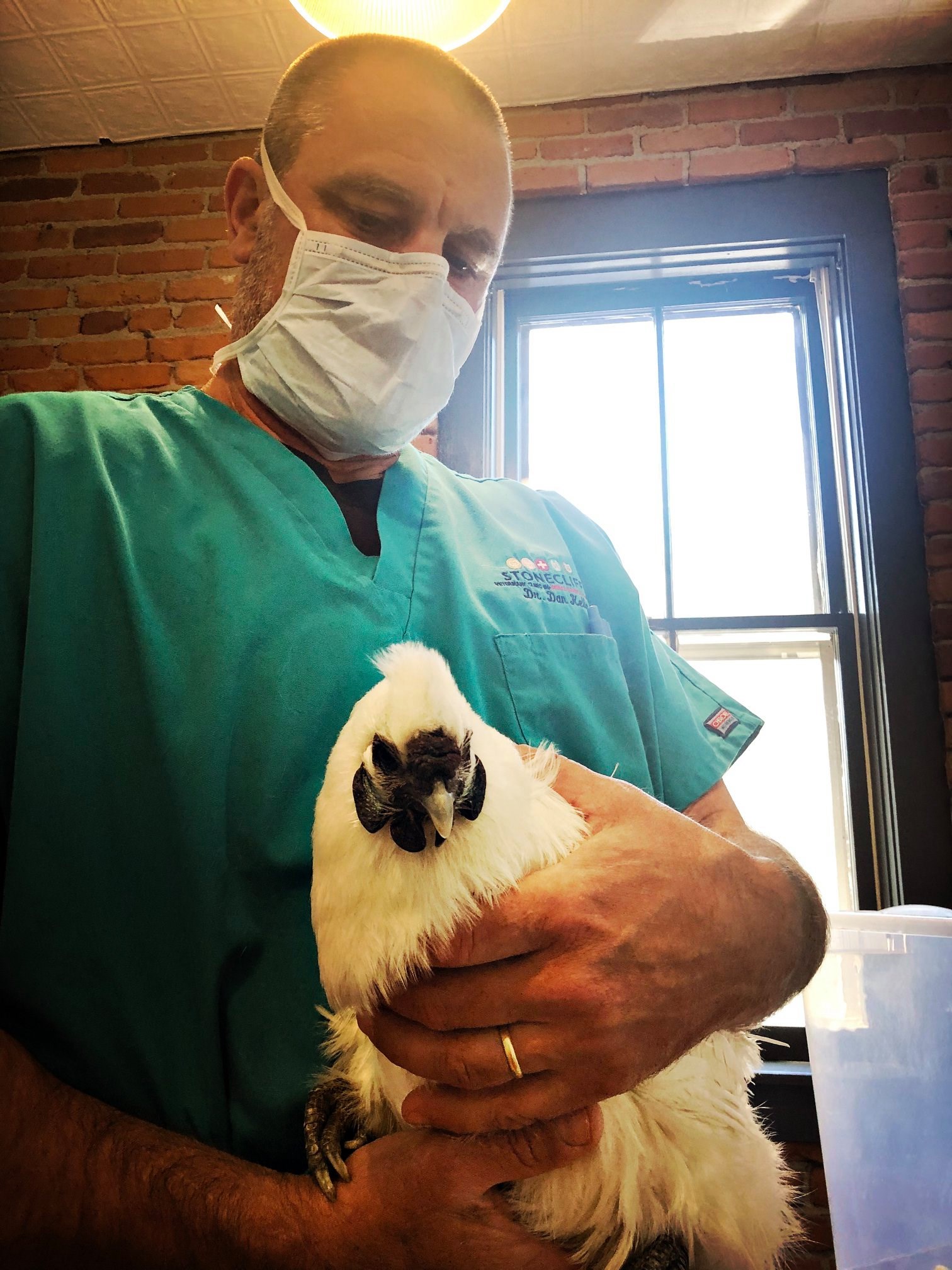 Stonecliff Veterinary Surgical Center of Vermont Montpelier, VT