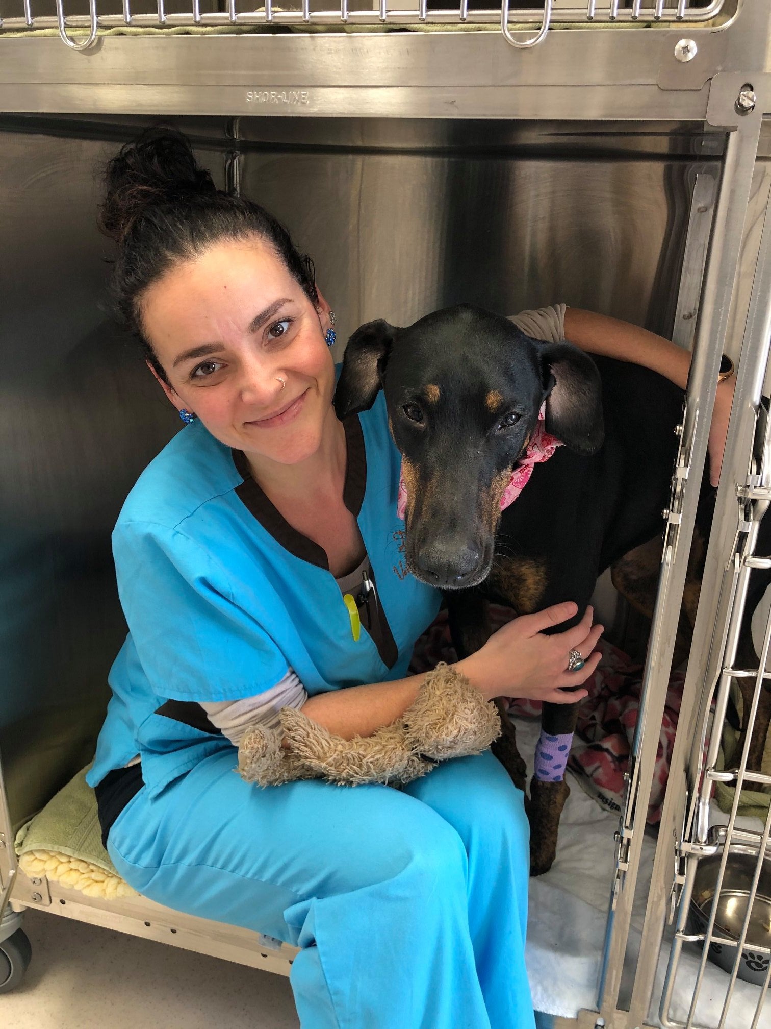 Stonecliff Veterinary Surgical Center of Vermont Montpelier, VT