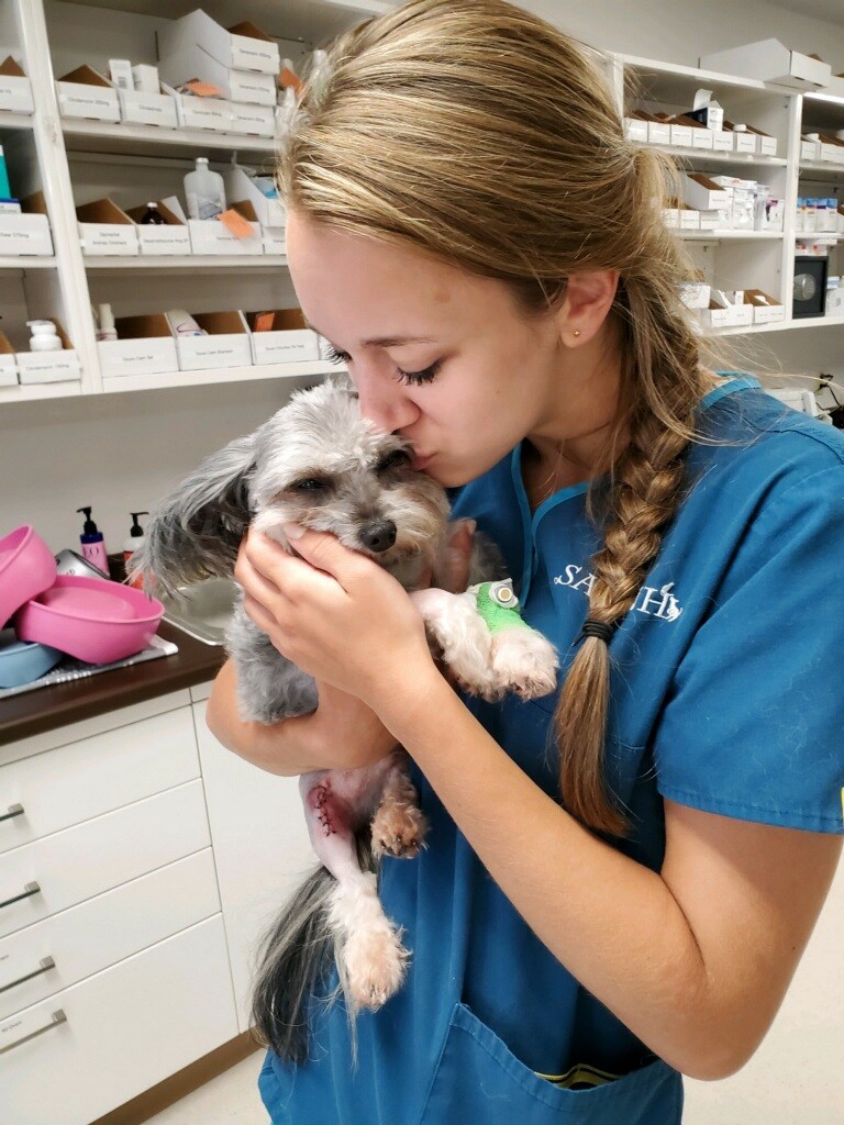 Stonecliff Veterinary Surgical Center of Vermont Montpelier, VT