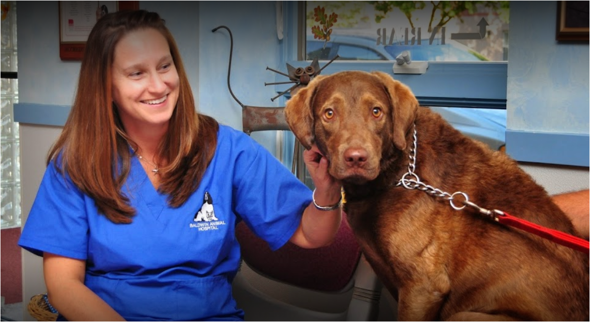 Find Pet Care Information and Veterinarians in Freeport, New-york