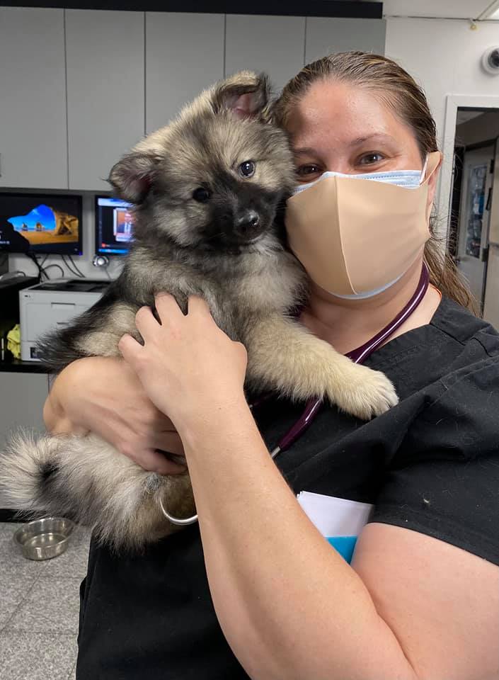 Find Pet Care Information and Veterinarians in Sutton-place, New-york Find Pet Care Information and Veterinarians in Sutton-place, New-york