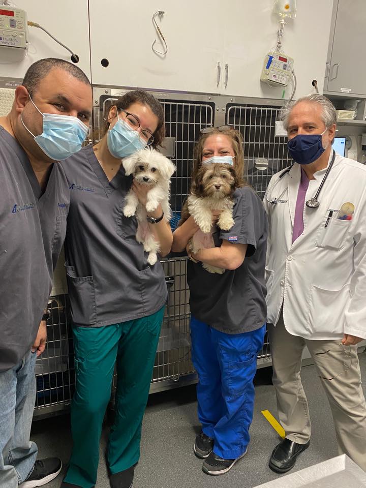 Find Pet Care Information and Veterinarians in Sutton-place, New-york Find Pet Care Information and Veterinarians in Sutton-place, New-york