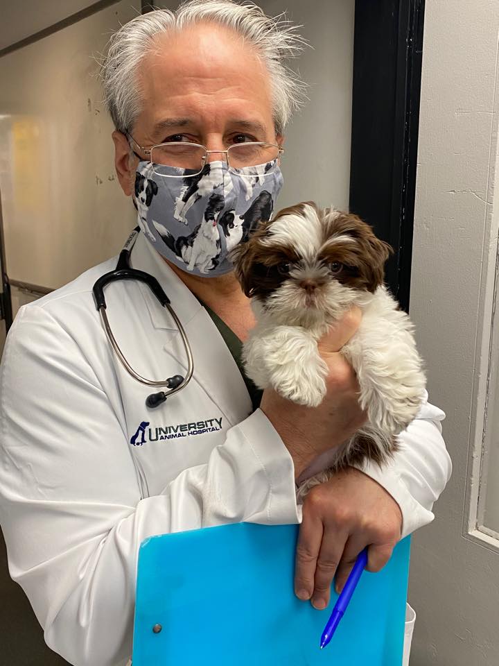 Find Pet Care Information and Veterinarians in Sutton-place, New-york Find Pet Care Information and Veterinarians in Sutton-place, New-york