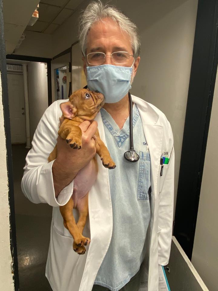 Find Pet Care Information and Veterinarians in Sutton-place, New-york Find Pet Care Information and Veterinarians in Sutton-place, New-york