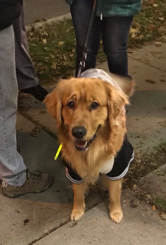 It's easy to claim your veterinary practice profile!