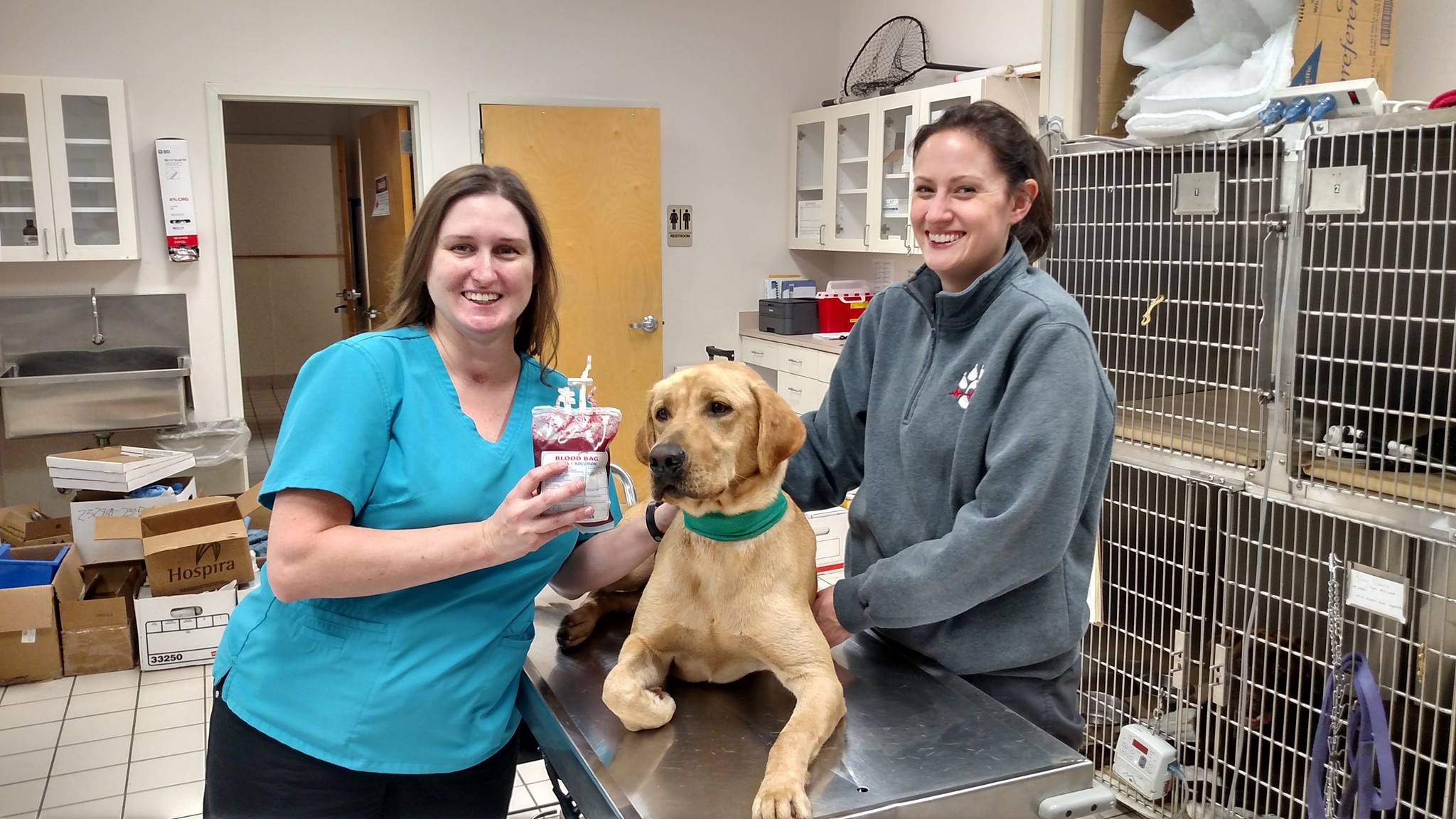 Find Pet Care Information and Veterinarians in Upchurch, North-carolina