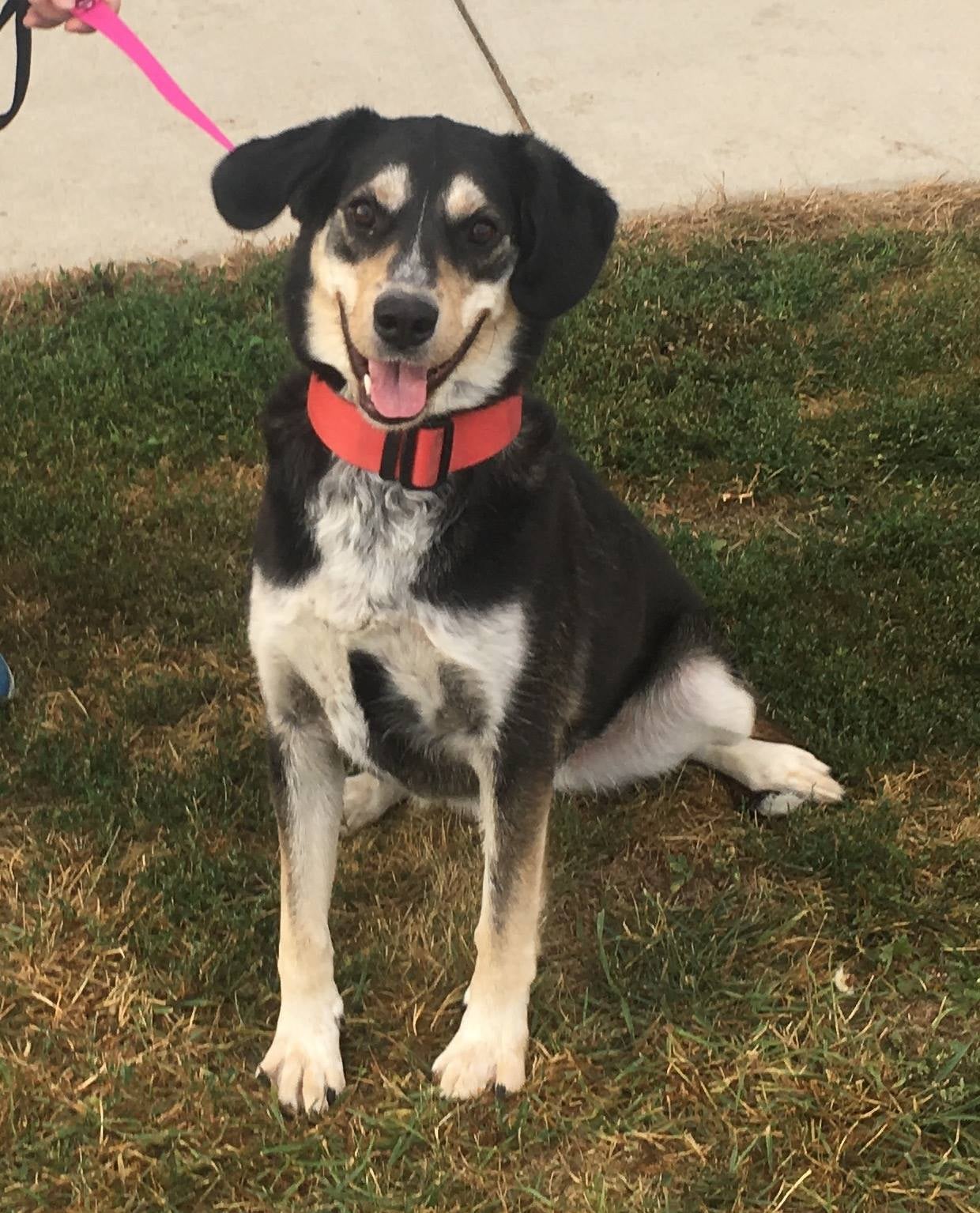 It's easy to claim your veterinary practice profile!