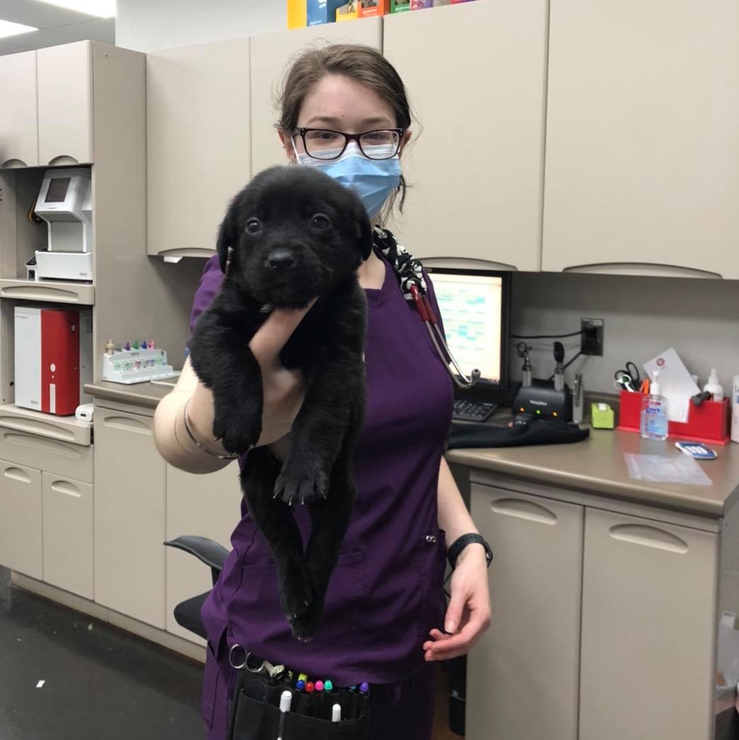 Find Pet Care Information and Veterinarians in Oklahomacity, Oklahoma