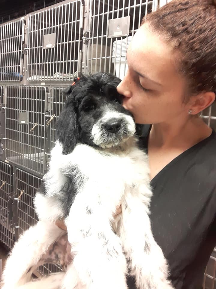 Underhill Animal Hospital – Orlando, FL Underhill Animal Hospital – Orlando, FL