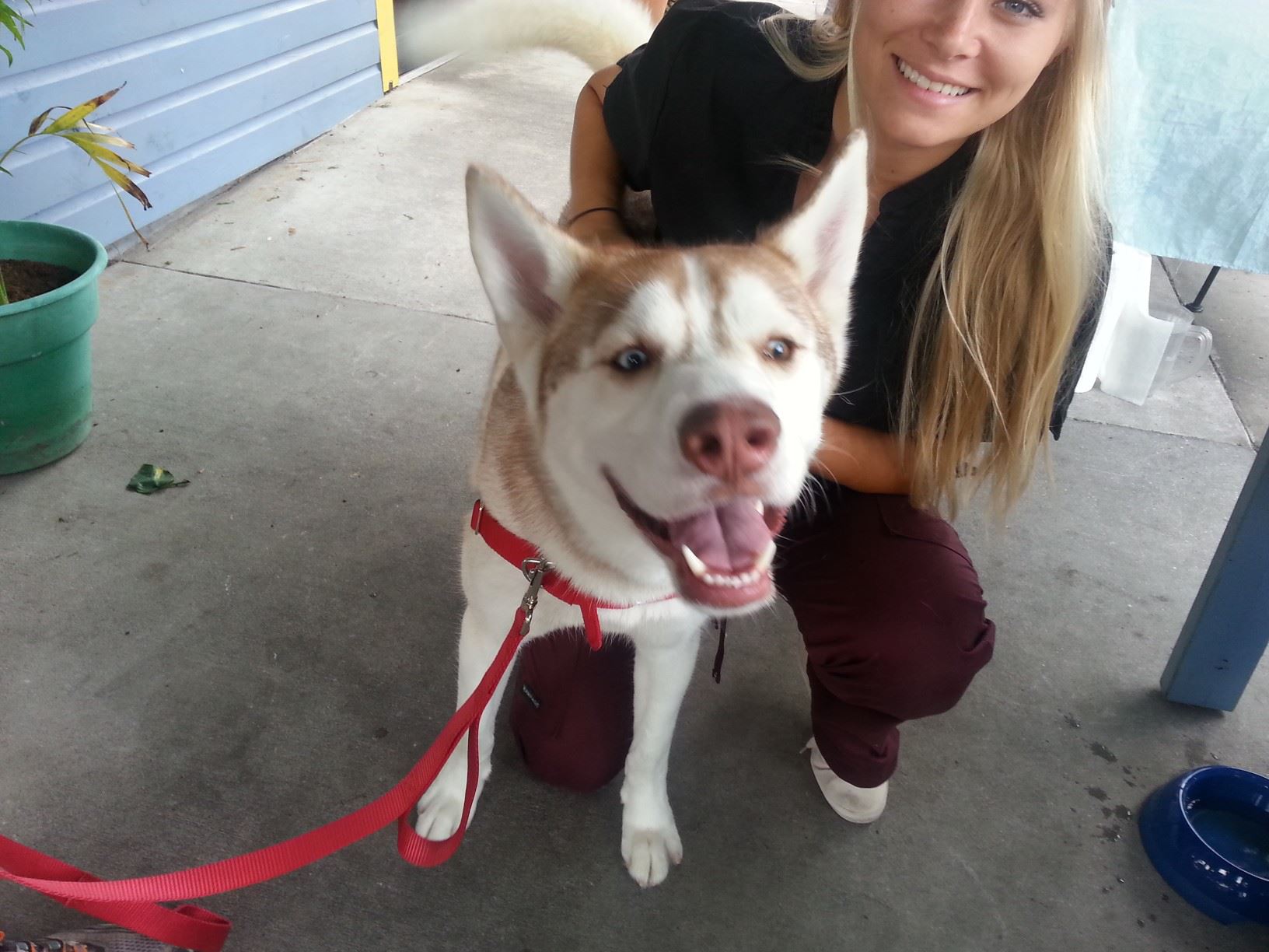 Underhill Animal Hospital – Orlando, FL Underhill Animal Hospital – Orlando, FL