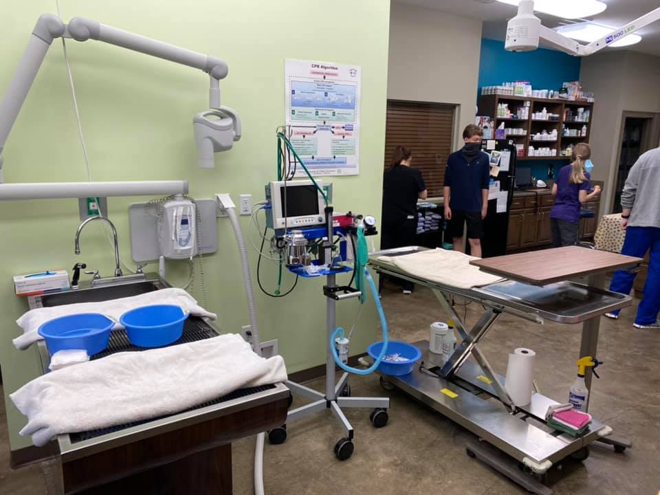 Find Pet Care Information and Veterinarians in Oxford, Mississippi Find Pet Care Information and Veterinarians in Oxford, Mississippi
