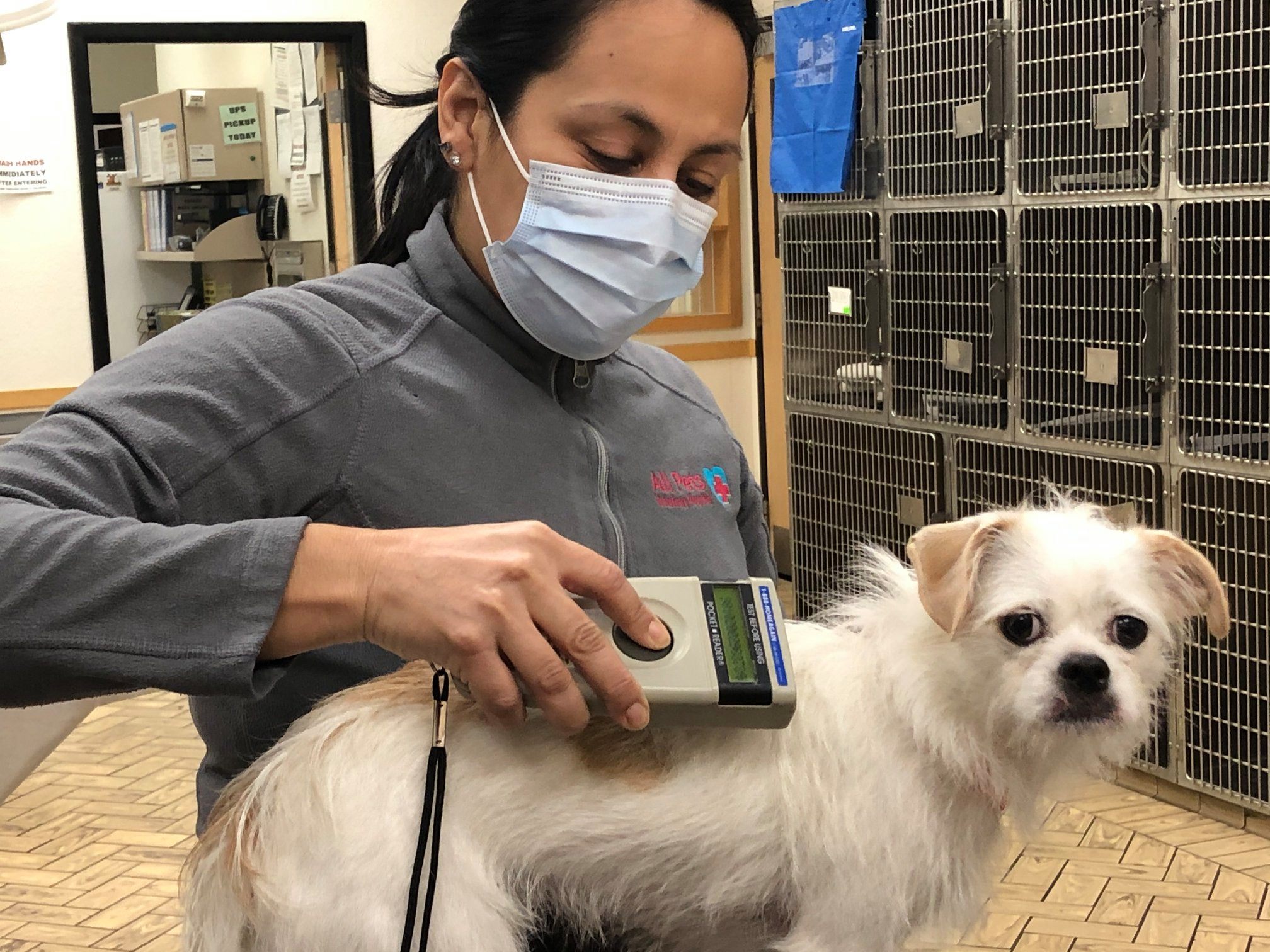 Find Pet Care Information and Veterinarians in Harbor-city, California Find Pet Care Information and Veterinarians in Harbor-city, California