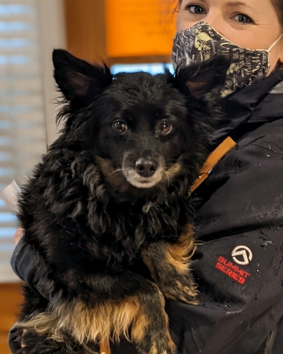 Ardmore Animal Hospital – Ardmore, PA Ardmore Animal Hospital – Ardmore, PA