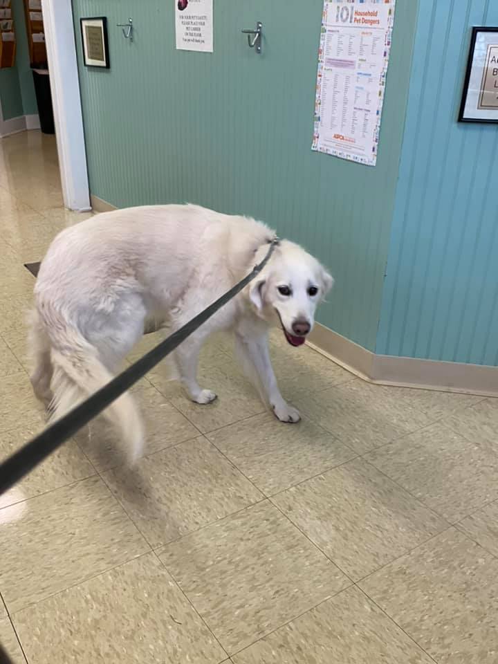 Find Pet Care Information and Veterinarians in Fairway, Pennsylvania Find Pet Care Information and Veterinarians in Fairway, Pennsylvania