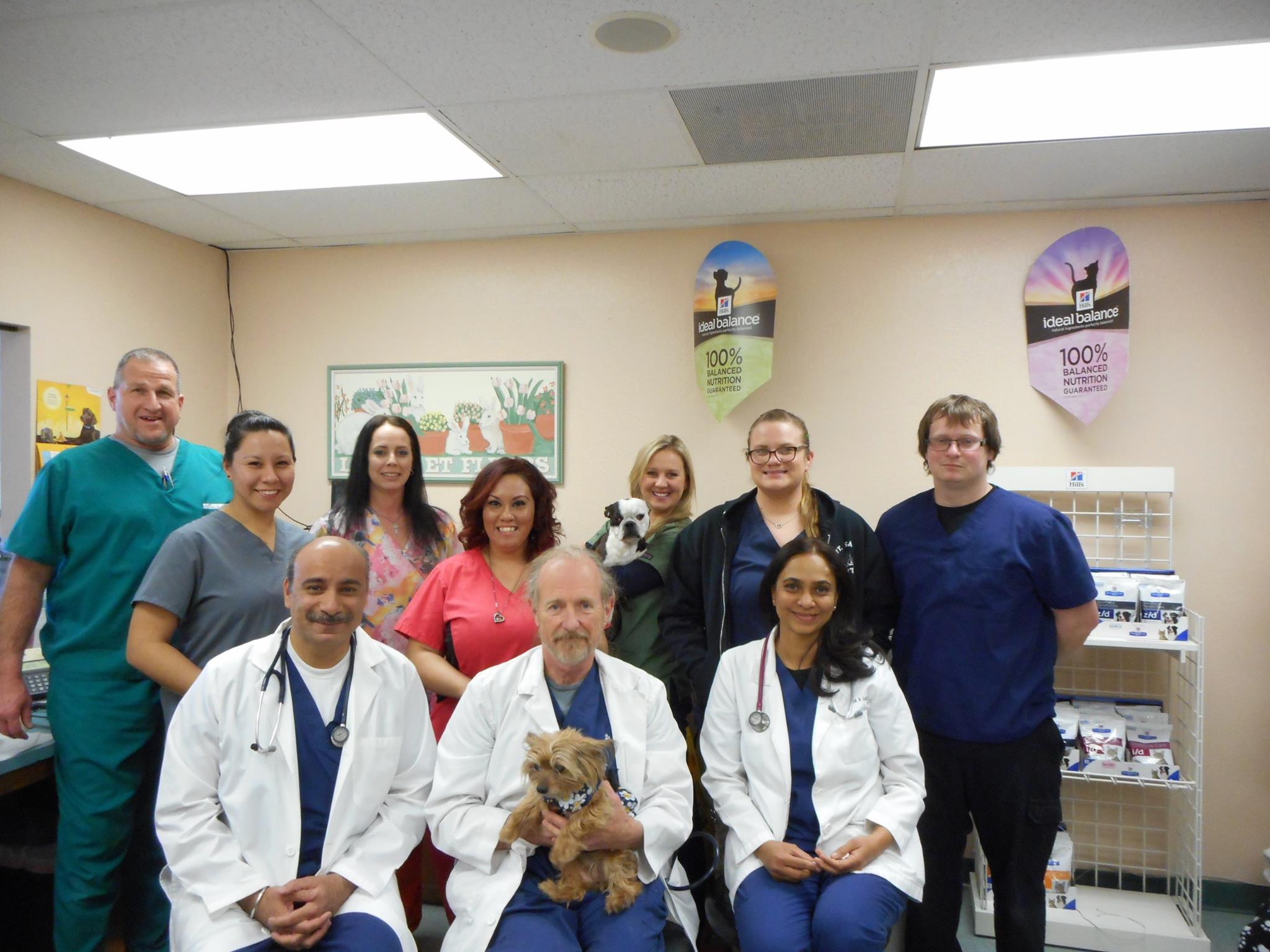 family pet clinic of phelan