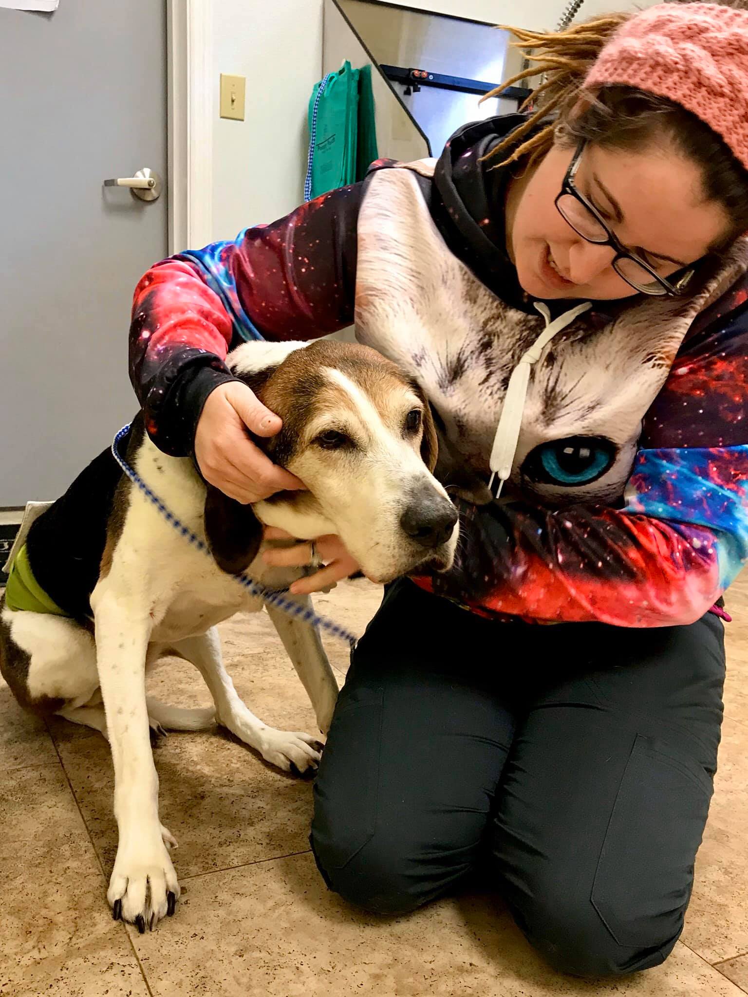 Find Pet Care Information and Veterinarians in Rocky-point, New-york Find Pet Care Information and Veterinarians in Rocky-point, New-york