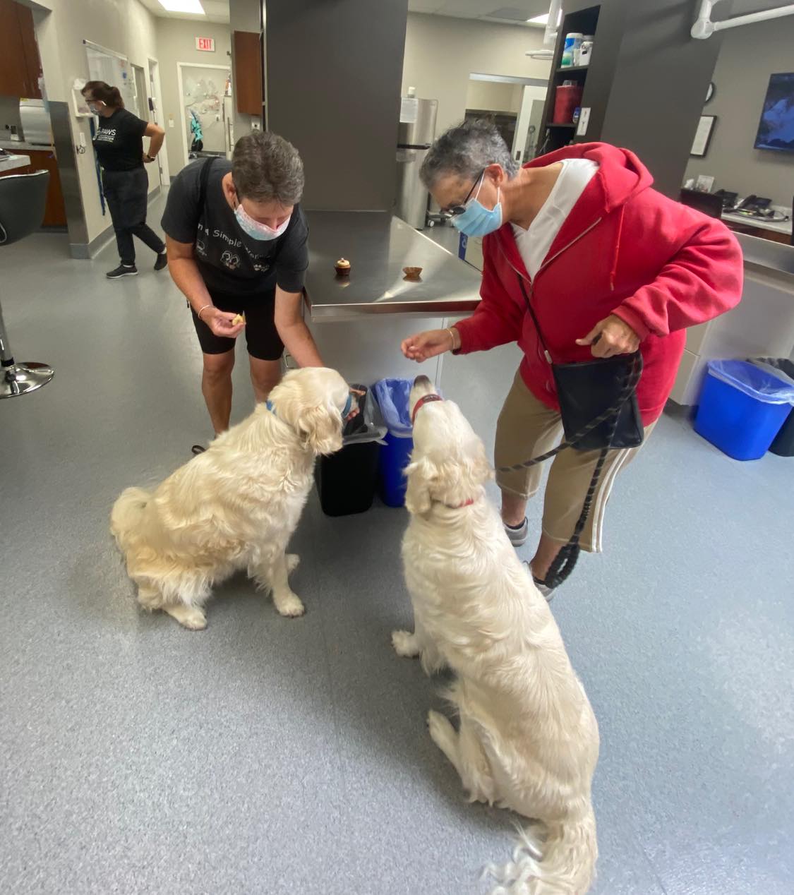 Get Pet Care Information and Find A Veterinarian Near You