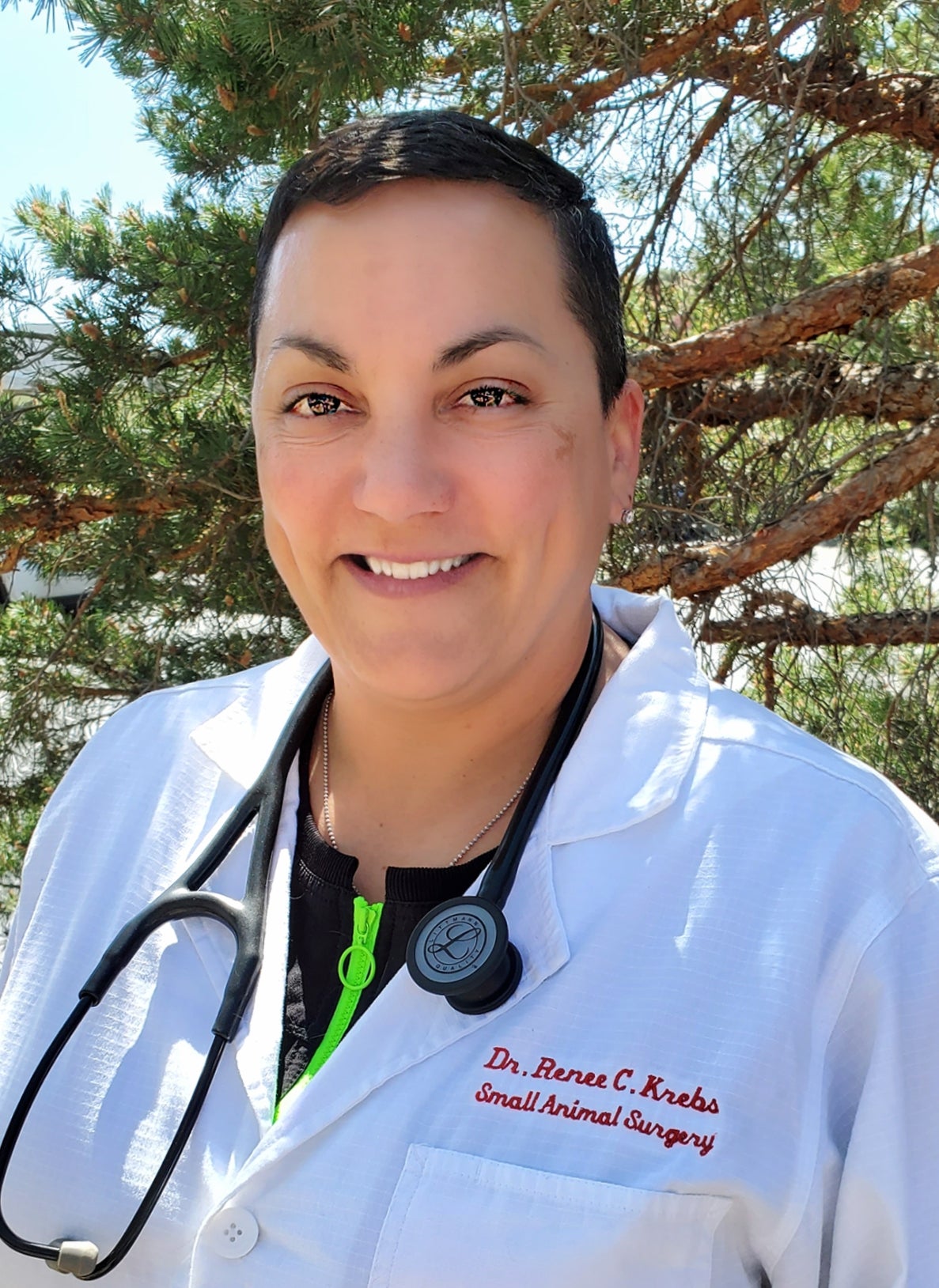 Fairgrounds Animal Hospital Reno, NV