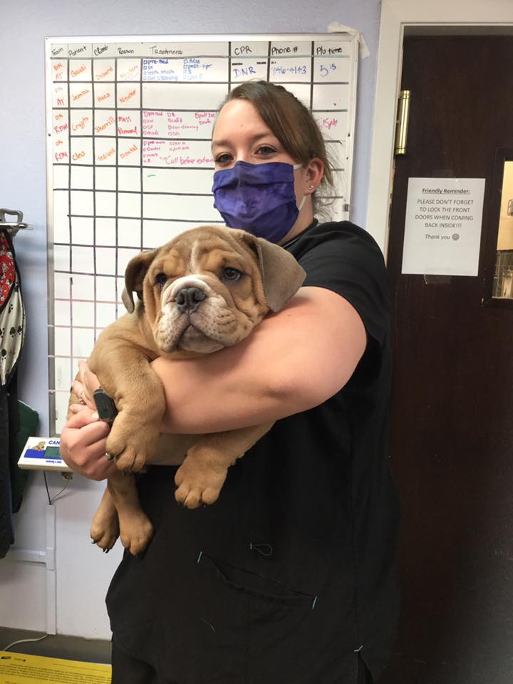 Fairgrounds Animal Hospital Reno, NV