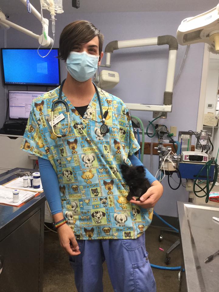 Fairgrounds Animal Hospital Reno, NV