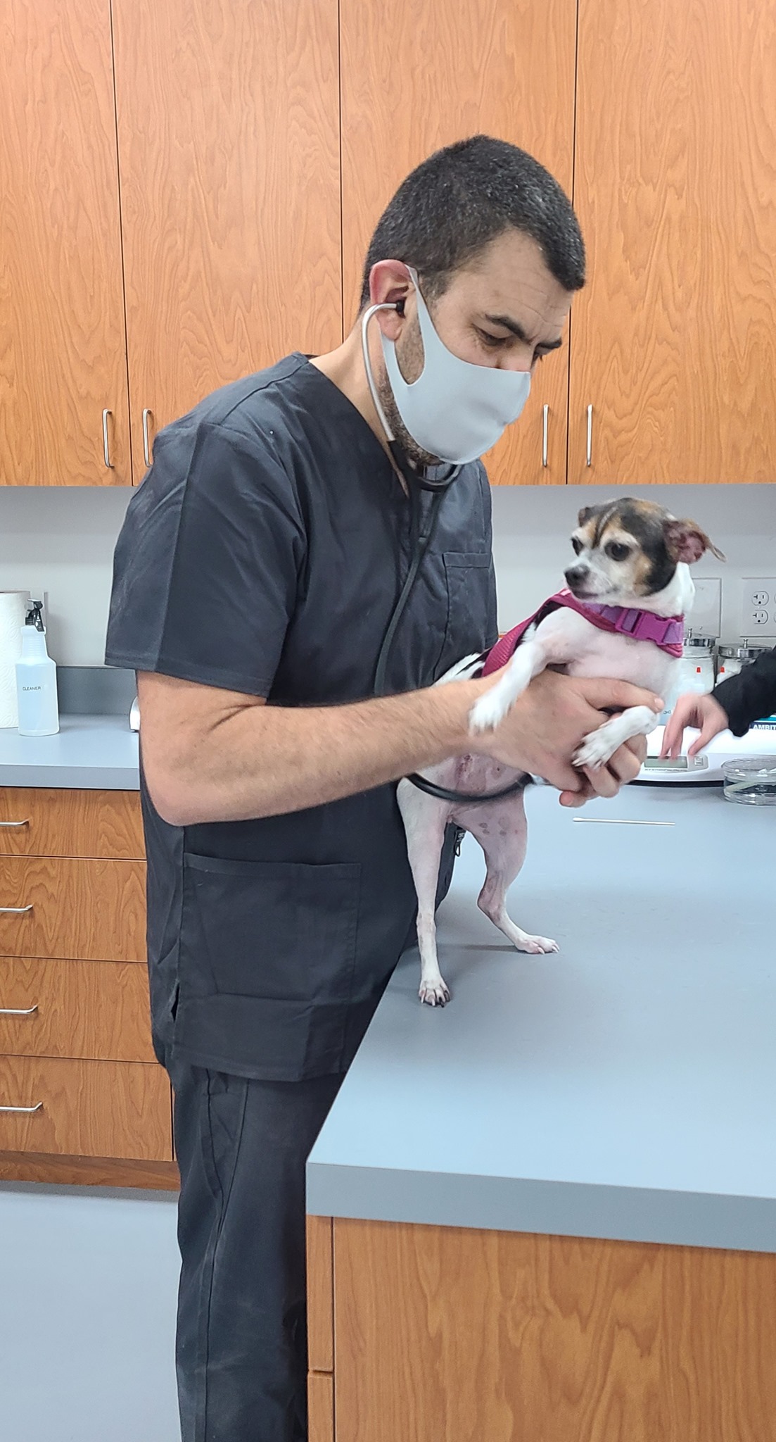 Get Pet Care Information and Find A Veterinarian Near You