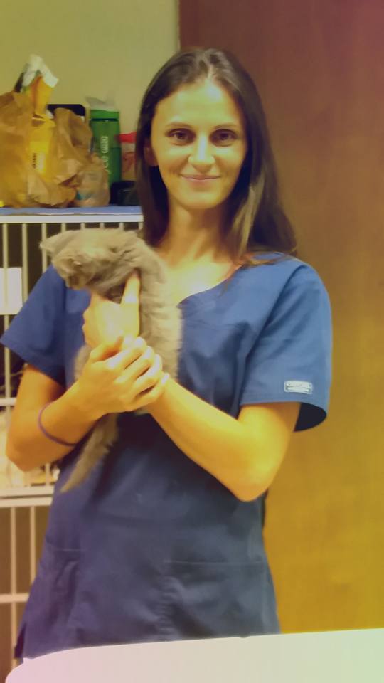 Animal Care Clinic of Hilton Head Island Hilton Head Island, SC