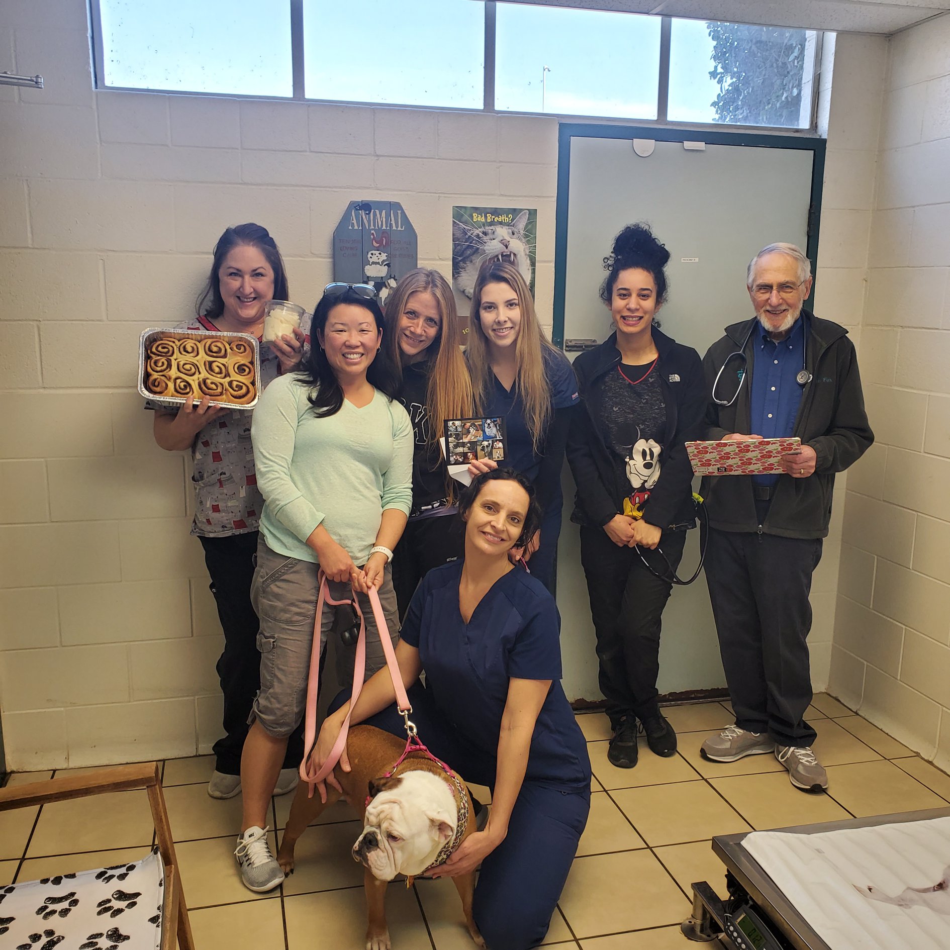 Animal Care Clinic Stockton Stockton Ca