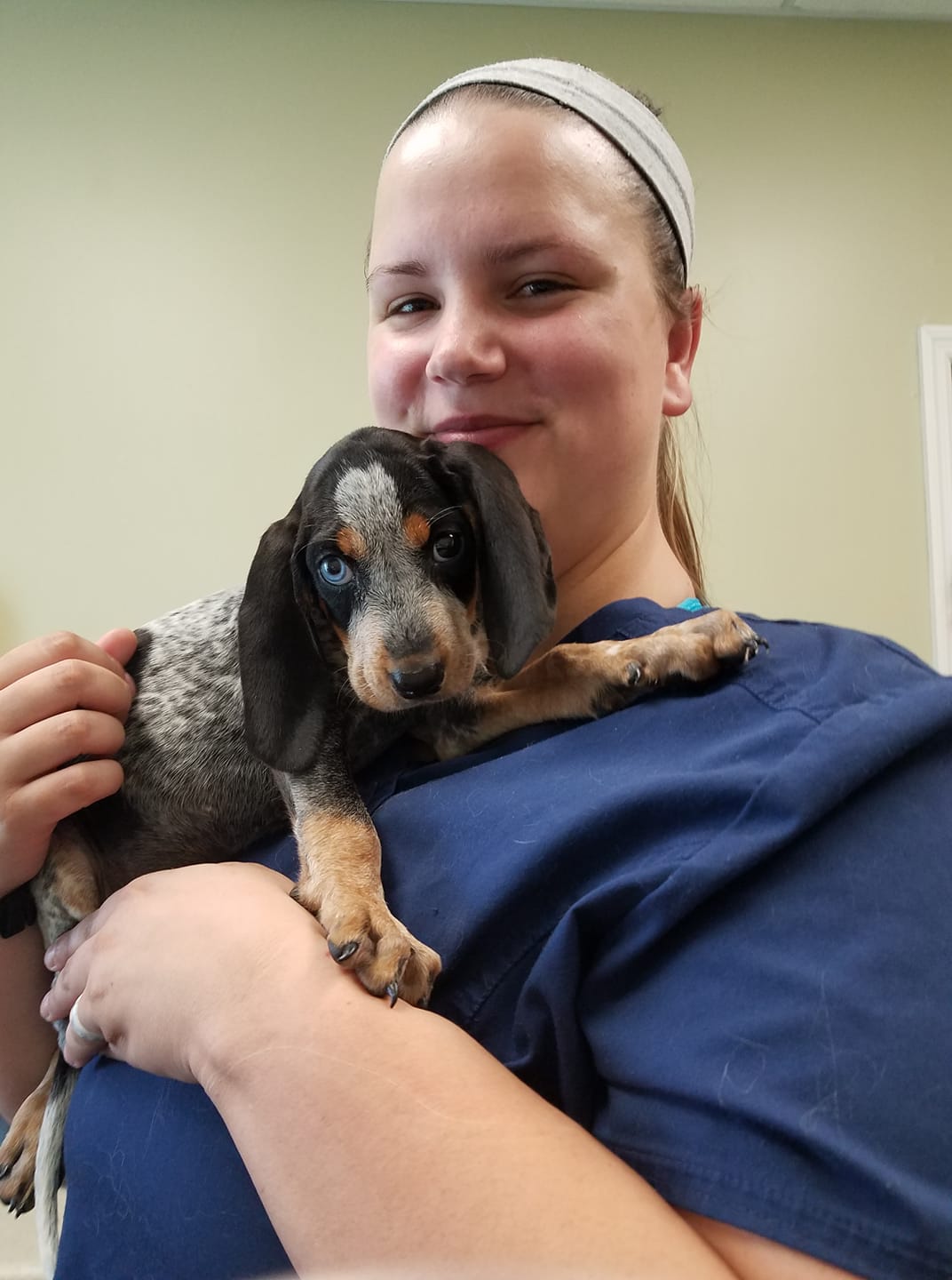 Find Pet Care Information and Veterinarians in Hillview, Tennessee Find Pet Care Information and Veterinarians in Hillview, Tennessee