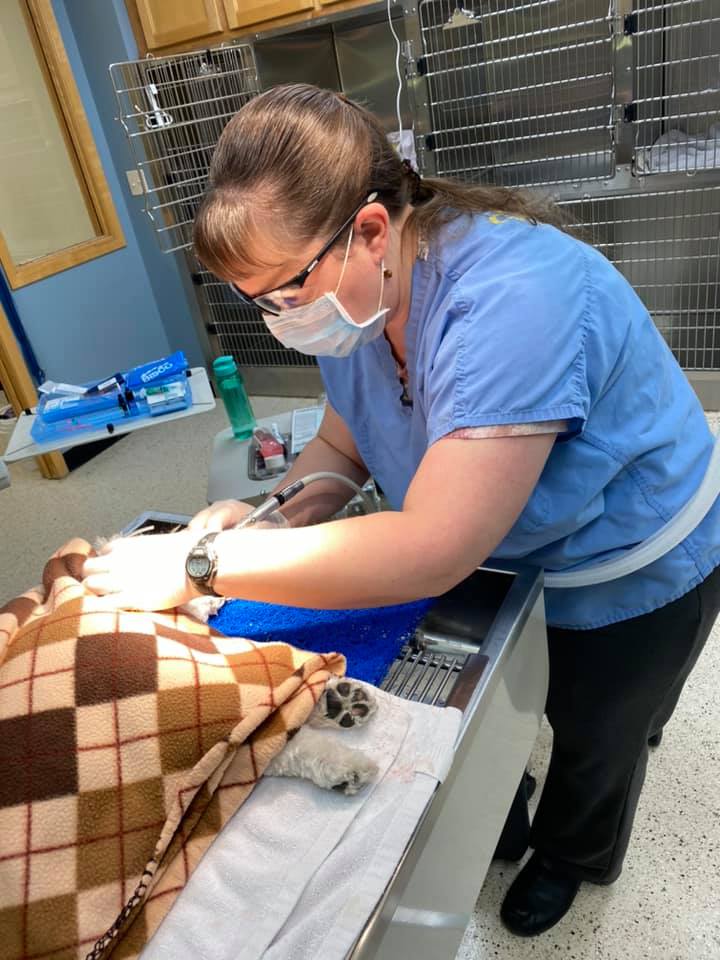 Pet Medical Center of Urbandale Urbandale, IA