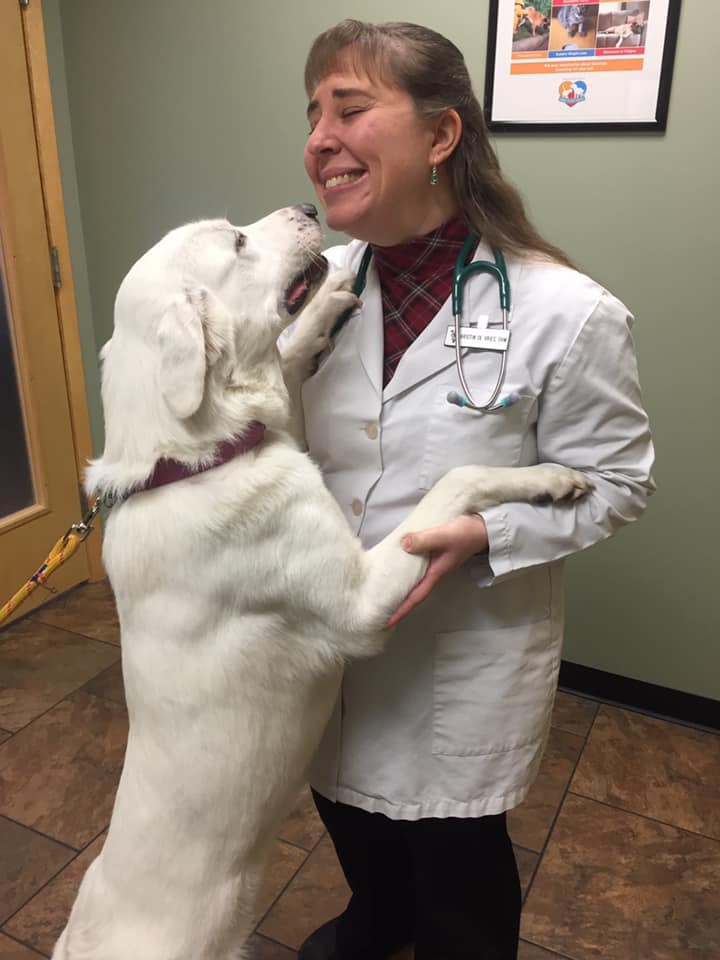 Pet Medical Center of Urbandale Urbandale, IA