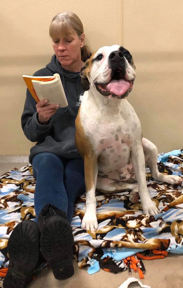 Cumberland valley sales pet resort