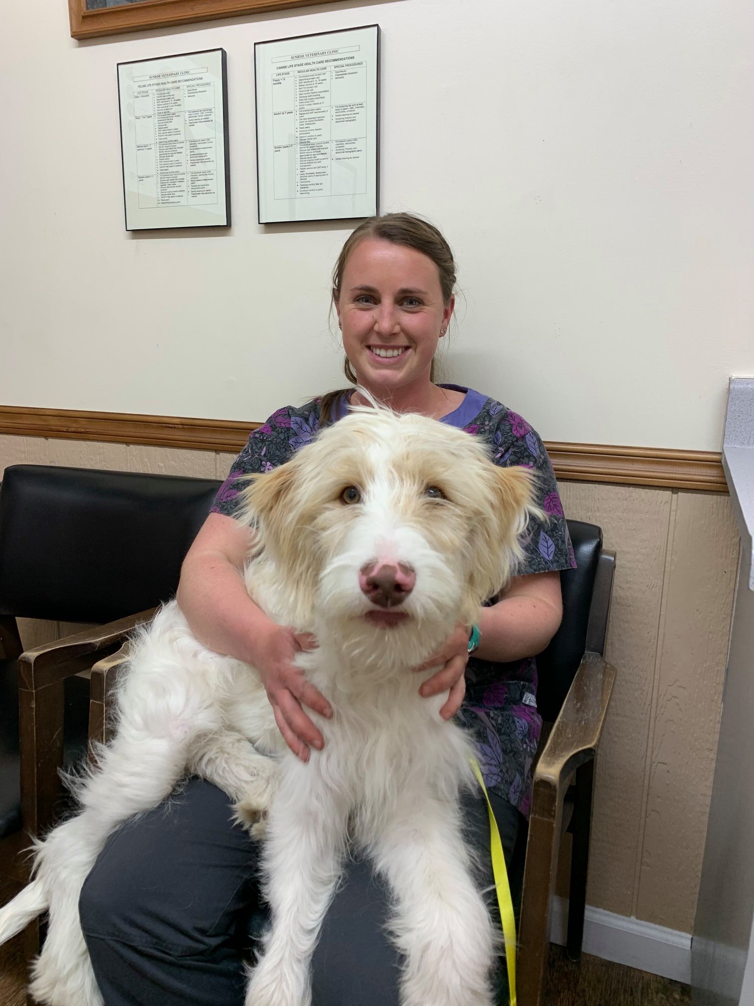 Find Pet Care Information and Veterinarians in West-richland, Washington Find Pet Care Information and Veterinarians in West-richland, Washington