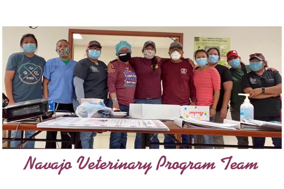 Navajo Nation Veterinary Management Bonito, NM
