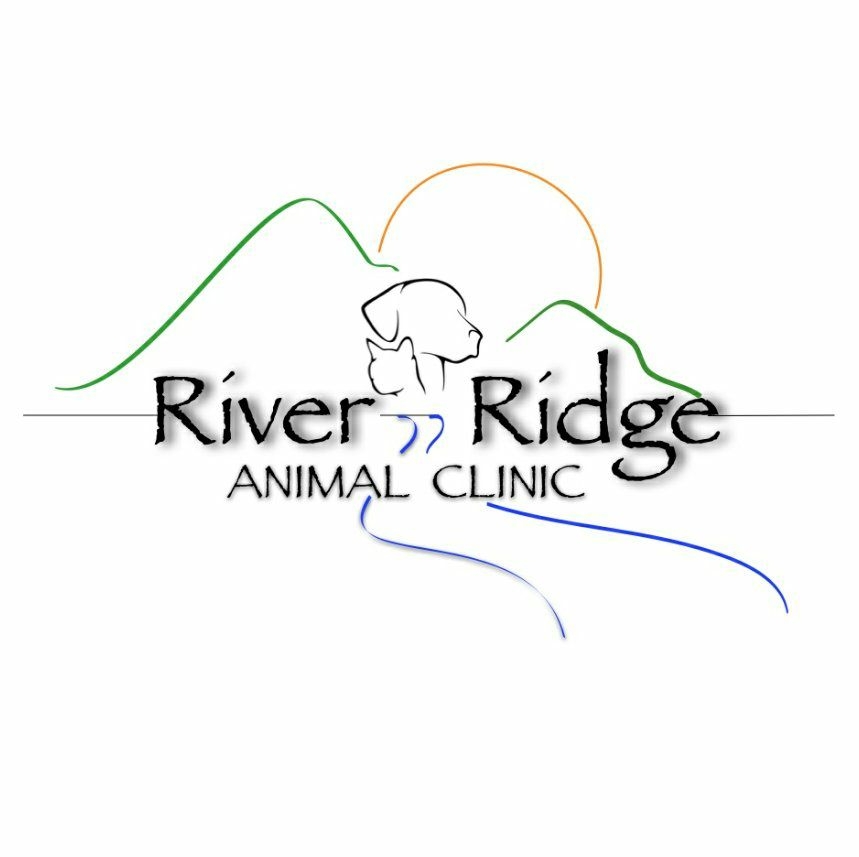 River Ridge Animal Clinic – Brooksville, FL
