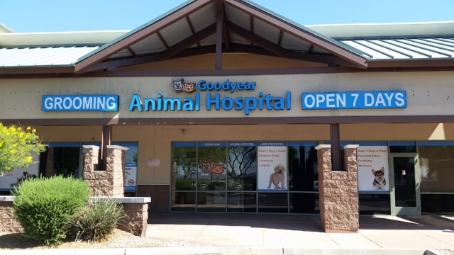 Goodyear Animal Hospital PLC & Grooming – Goodyear, AZ