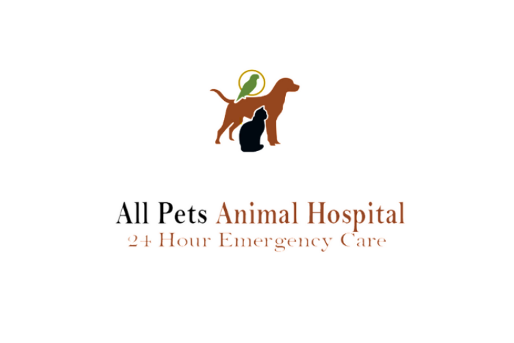 All Pets Animal Hospital 24 Hour Emergency Care Katy Tx