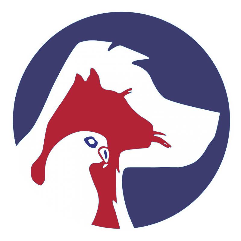 American Animal Hospital – San Diego, CA American Animal Hospital – San Diego, CA
