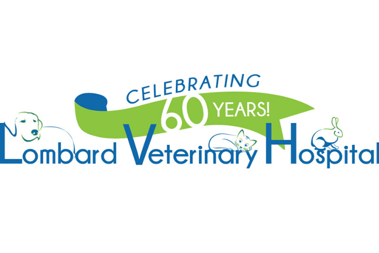 Lombard Veterinary Hospital