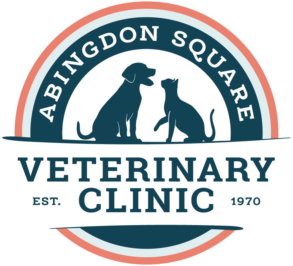 New York New York Veterinarians