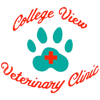 College View Veterinary Clinic – Jacksonville, NC