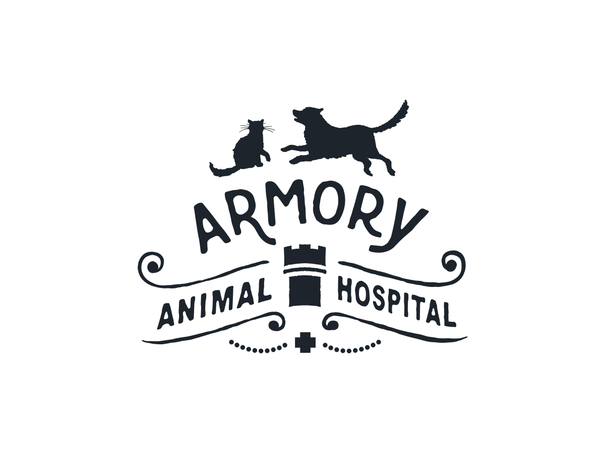 Armory Animal Hospital – Providence, RI