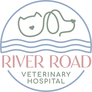 Dog and cat art, logo reads River Road Veterinary Hospital