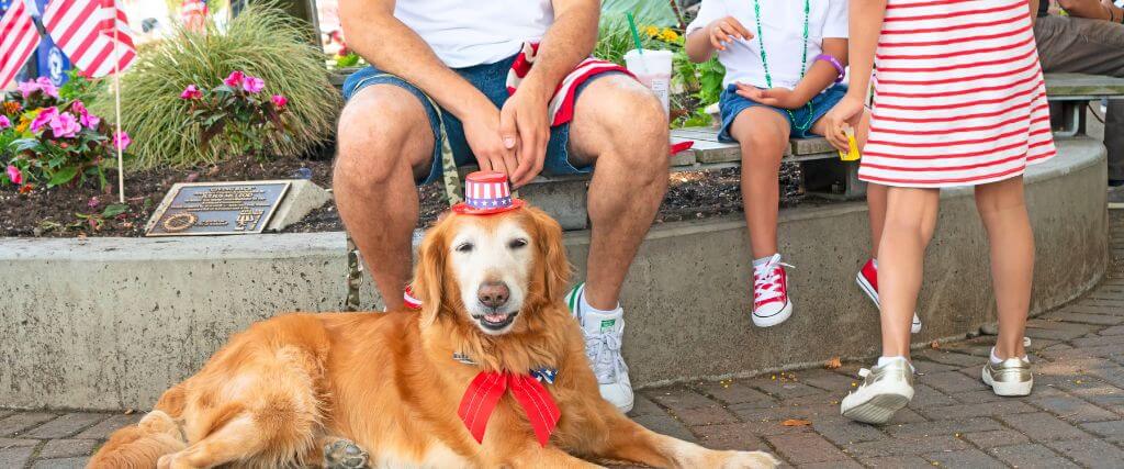 The Secret to Handling Fraidy Cats and Nervous Doggos This July 4th