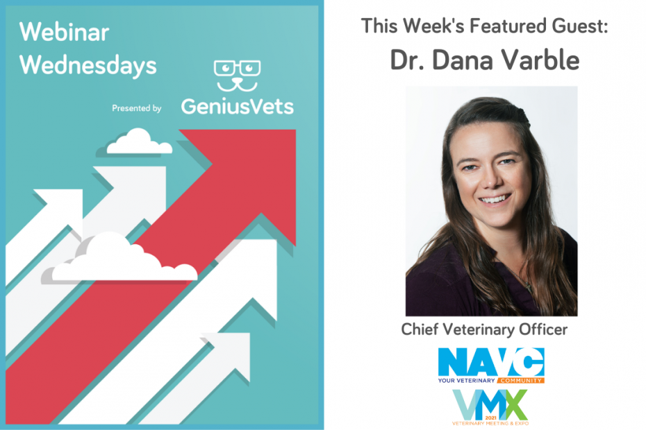 Dr. Dana Varble on Webinar Wednesdays With GeniusVets