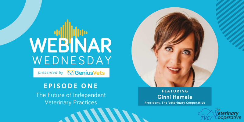 Ginni Hamele of TVC on Webinar Wednesday by GeniusVets