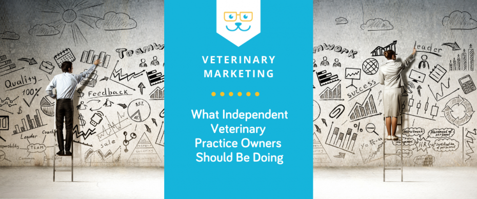 Veterinary industry downturn and tips on how to handle it