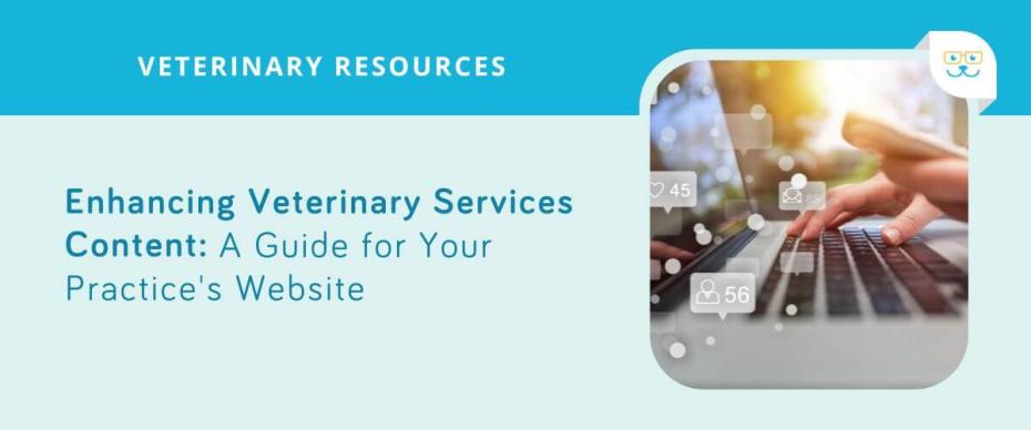 Enhancing Veterinary Services Content: A Guide for Your Practice's Website