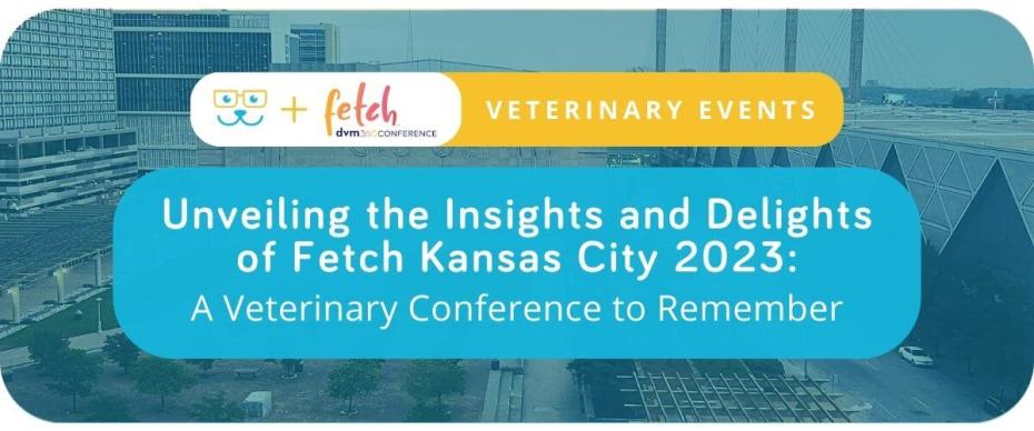 Unveiling the Insights and Delights of Fetch Kansas City 2023: A Veterinary Conference to Remember