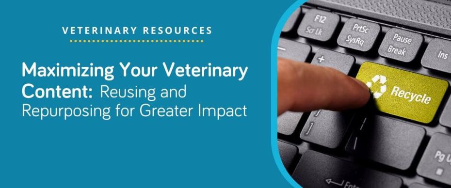 Maximizing Your Veterinary Content: Reusing and Repurposing for Greater Impact